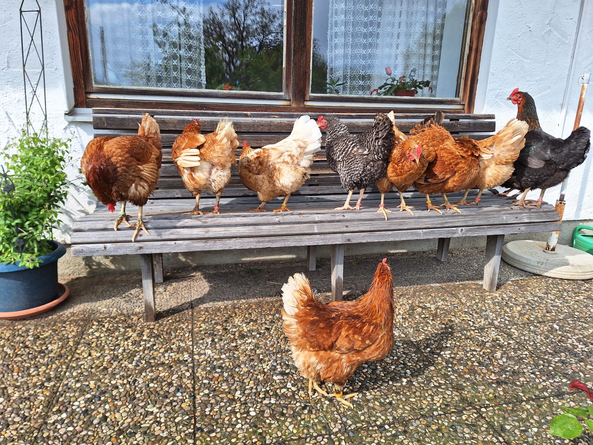 Teaserbild Tierarztpraxis Haag GmbH